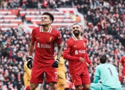 B体育电竞-关于利物浦阵容装备完善，期待高水准发挥的信息