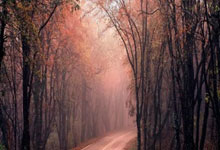 B体育网站入口-英国羽毛球新星崛起：逆袭之路成就璀璨未来