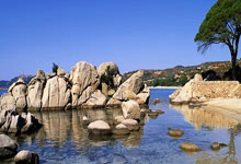 B体育电竞-新西兰：雄心勃发的先驱，勇往直前的未来之路