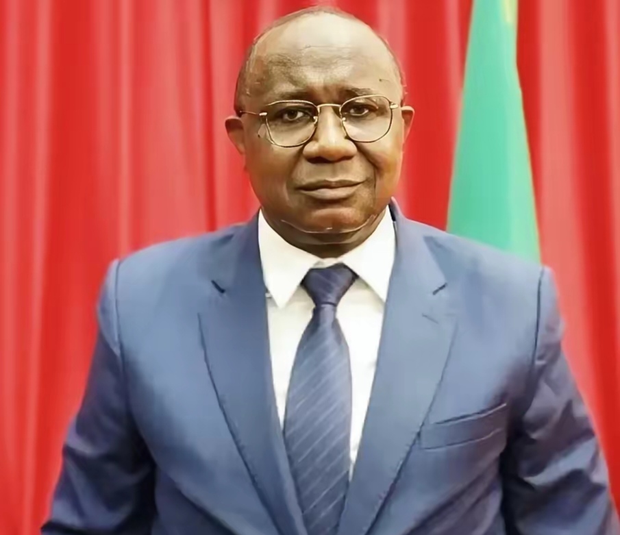 刚果民主共和国队球员表现佳，备受关注的简单介绍