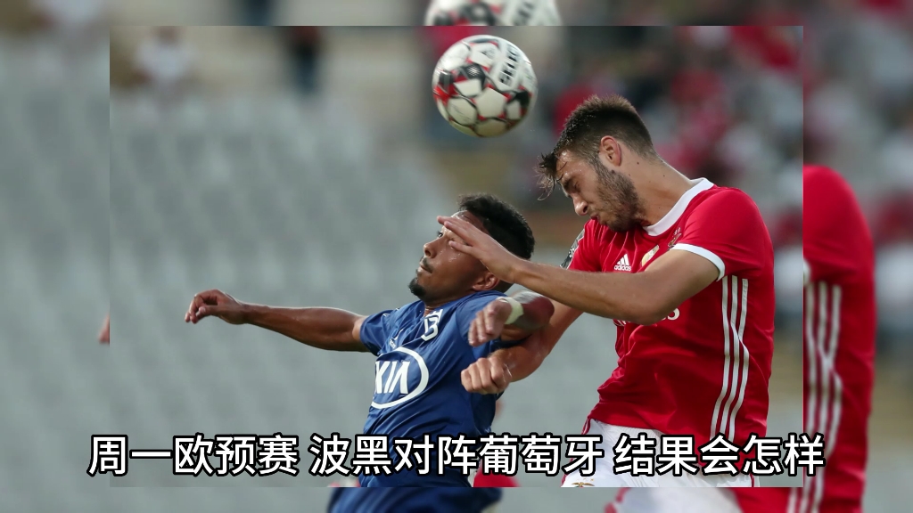 瑞典荣耀波黑,逆袭晋级欧预赛 瑞典荣耀波黑,逆袭晋级欧预赛