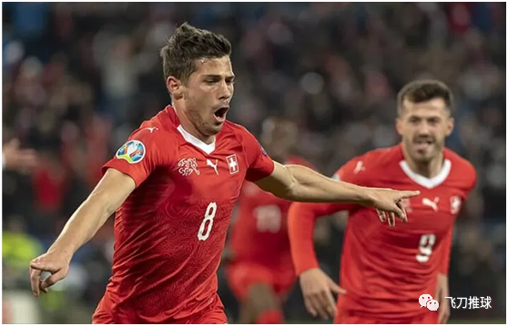 瑞士战平实力强敌,晋级欧锦赛八强 瑞士战平实力强敌,晋级欧锦赛八强
